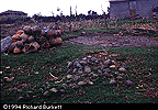the 'kiln' - just a bare spot in the farmyard