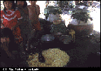 mashing and chewing yuca for chicha